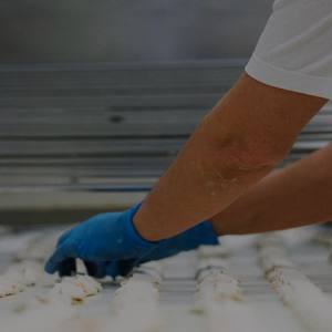 Naša vizija i strategija